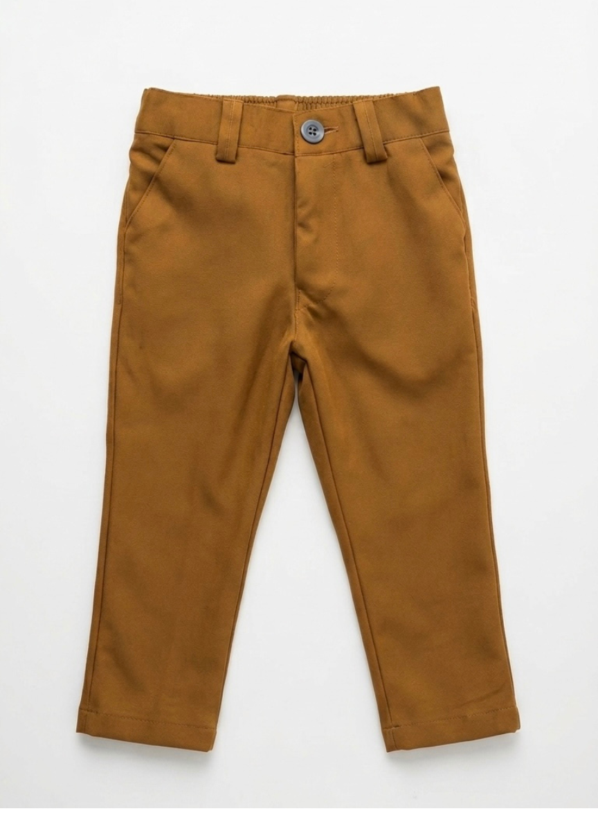 Brown Jodhpuri Suit Set