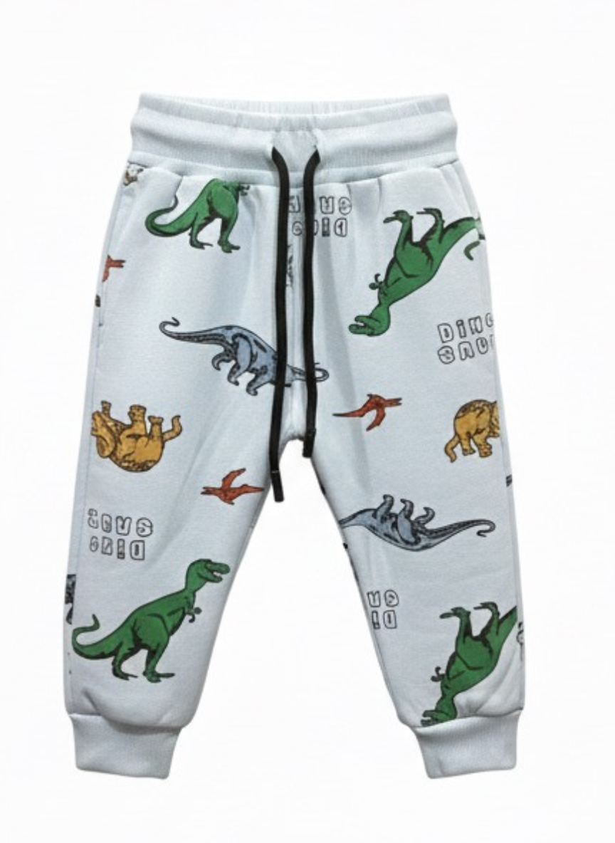 Boys Dinosaur Print Fleece Co-Ord Set