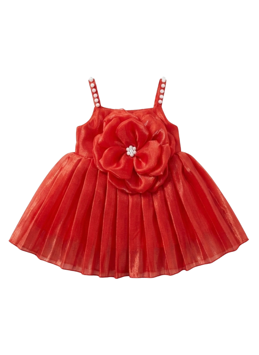 Red Floral Party Dress (0–6 Months)