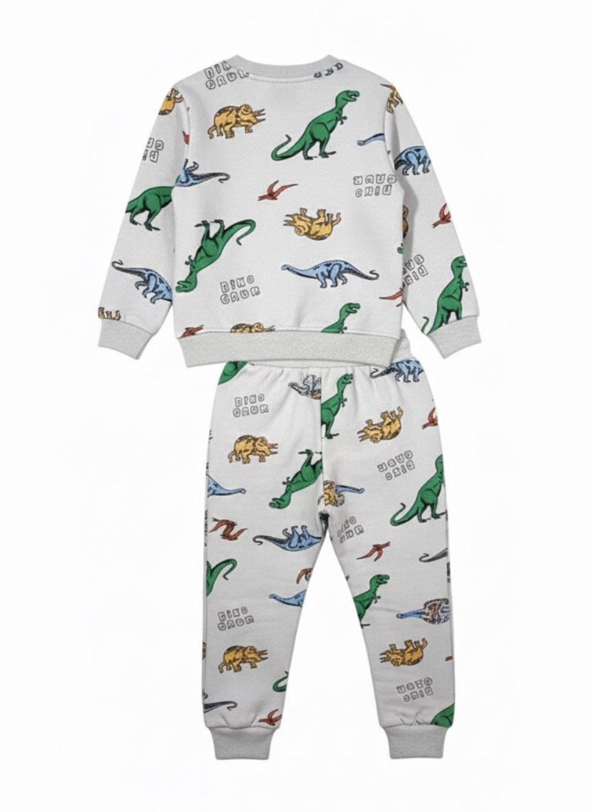 Boys Dinosaur Print Fleece Co-Ord Set
