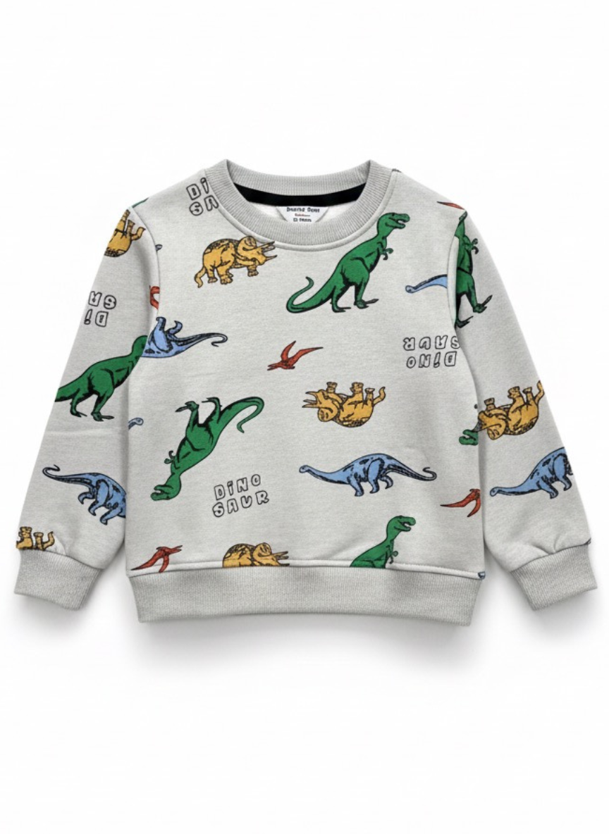 Boys Dinosaur Print Fleece Co-Ord Set