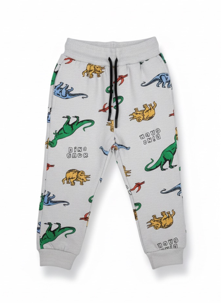 Boys Dinosaur Print Fleece Co-Ord Set