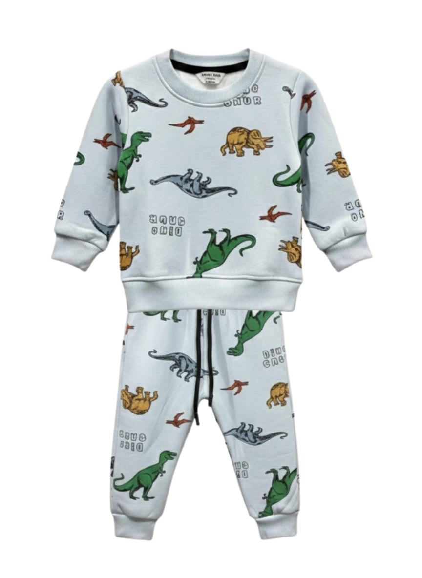 Boys Dinosaur Print Fleece Co-Ord Set