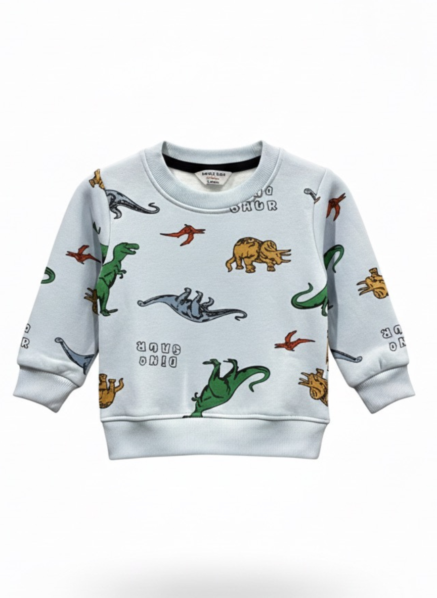 Boys Dinosaur Print Fleece Co-Ord Set