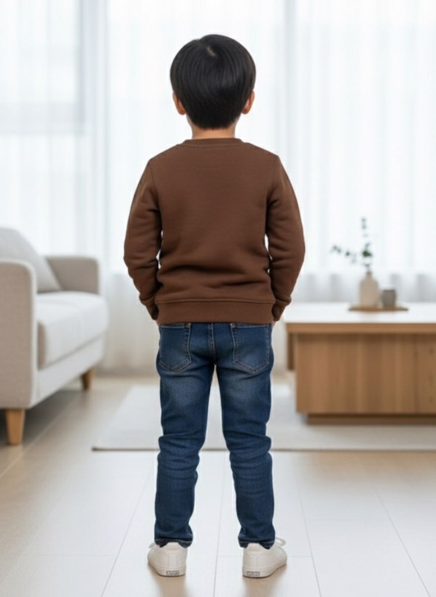 Boys Brown Sweatshirt