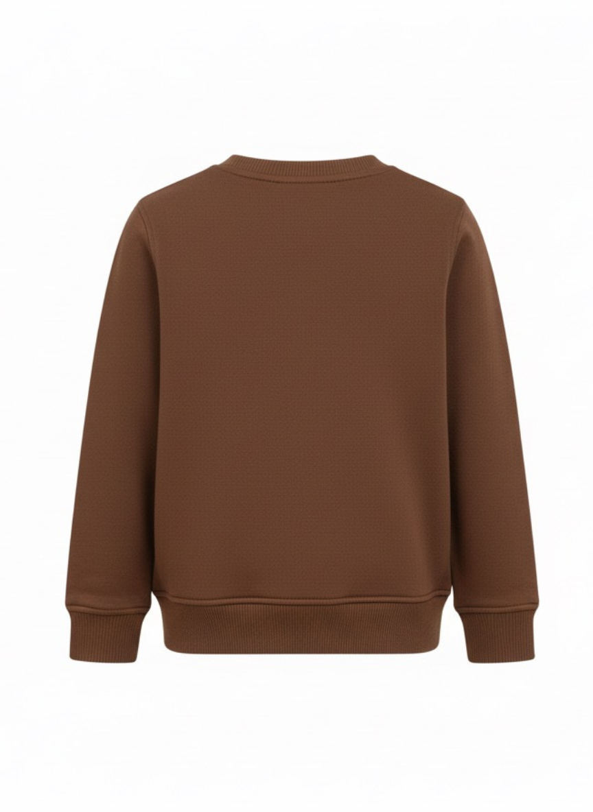 Boys Brown Sweatshirt